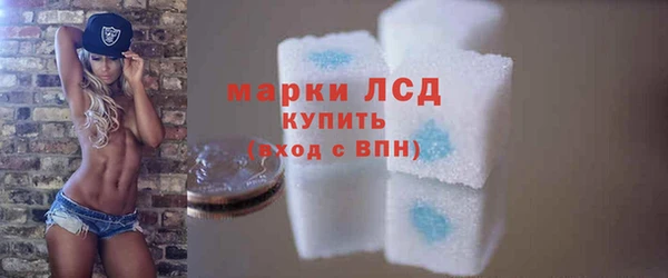 винт Ельня