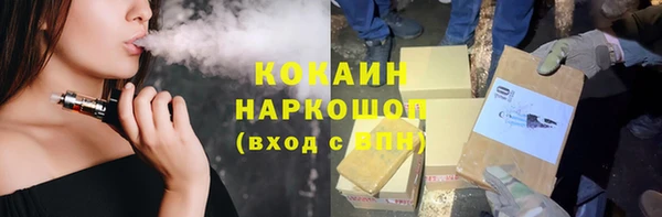 прущие грибы Гусь-Хрустальный