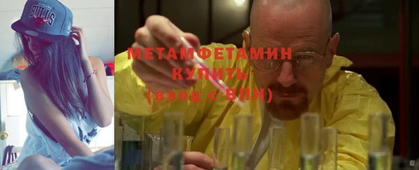прущие грибы Гусь-Хрустальный