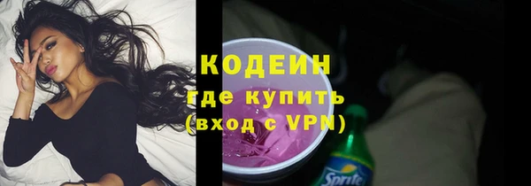 прущие грибы Гусь-Хрустальный