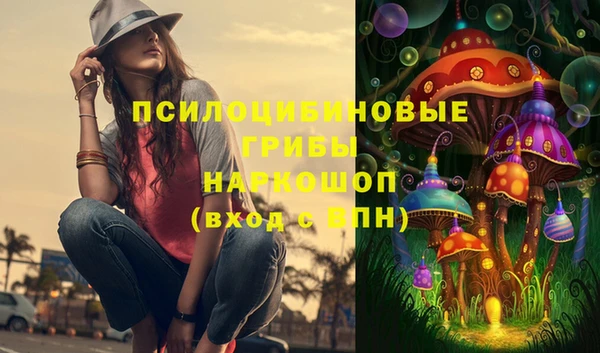 прущие грибы Гусь-Хрустальный