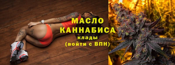прущие грибы Гусь-Хрустальный
