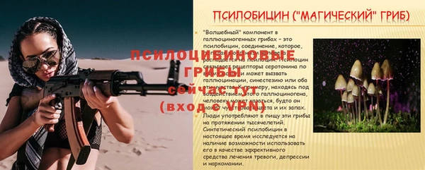 винт Ельня