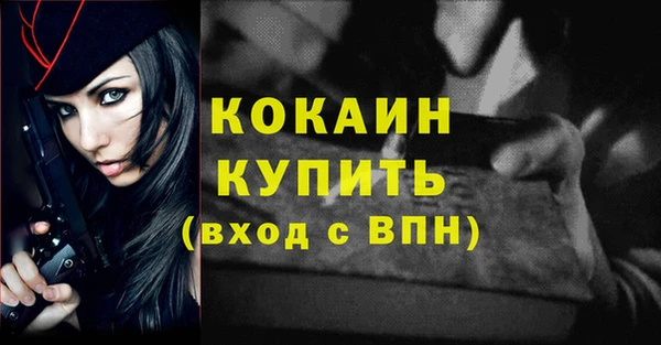 прущие грибы Гусь-Хрустальный