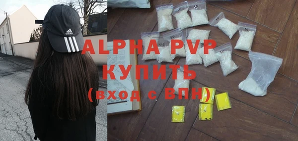 прущие грибы Гусь-Хрустальный