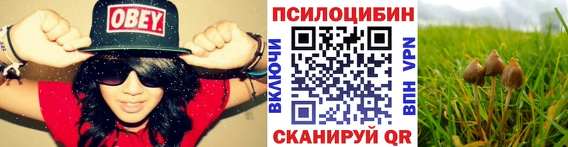 Купить закладки  Лермонтов  Галлюциногенные грибы Cubensis 